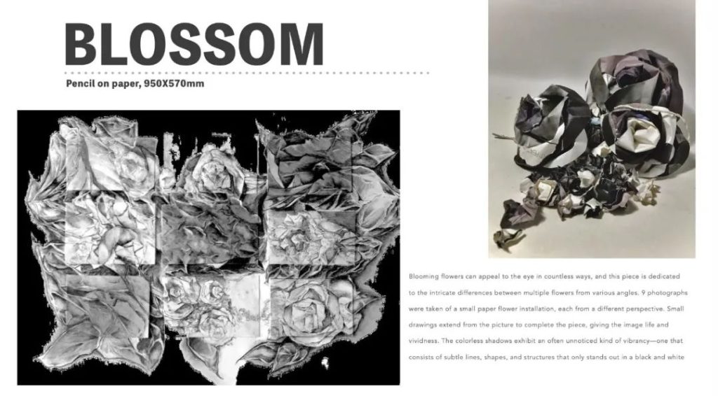 Amy塔夫茨大学 作品集