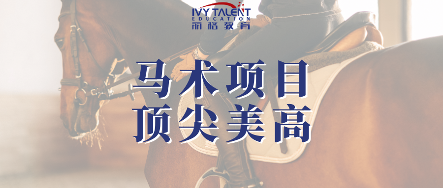 美高马术