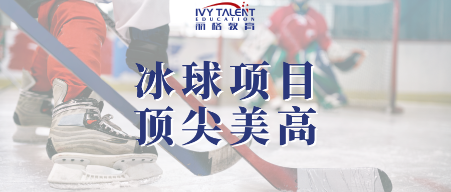 美高冰球