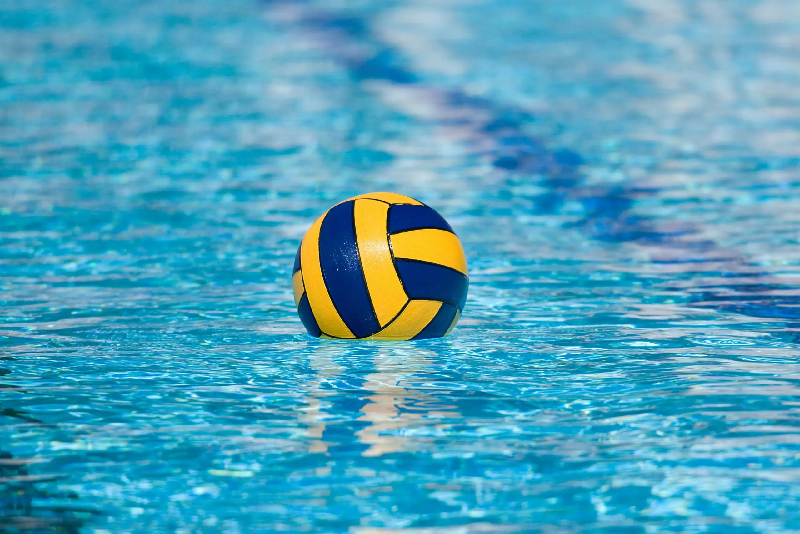 美国 水球 water polo
