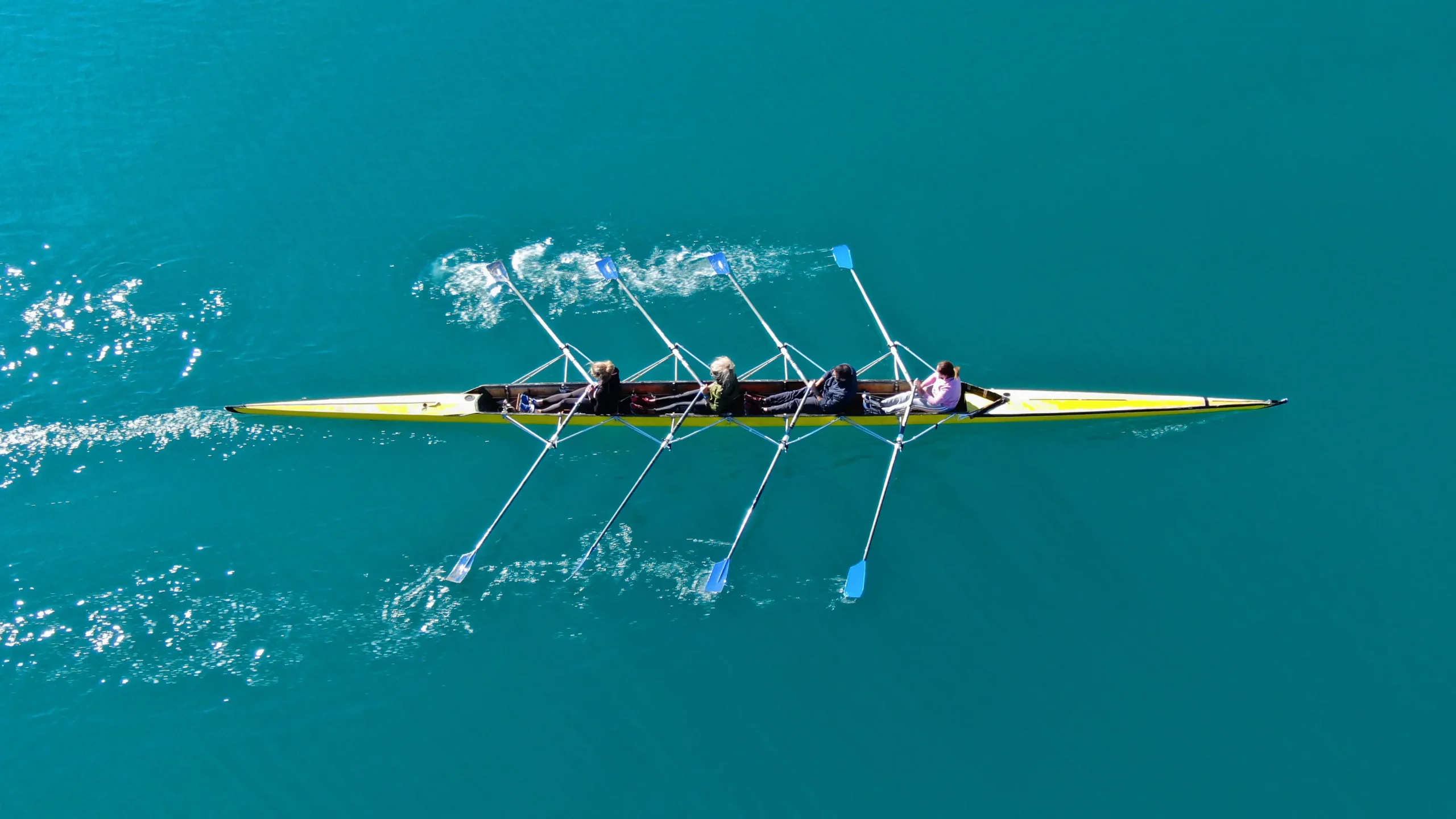 Rowing club 赛艇