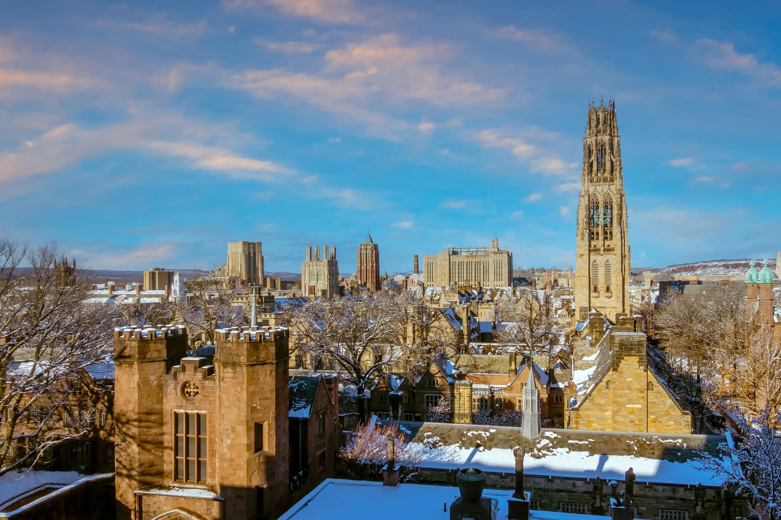 Yale University 耶鲁大学 waitlist 候补名单