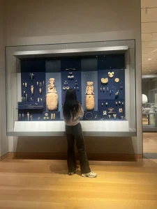 ivy-talent-student-sophia-2026-nyu-1 纽约大学
