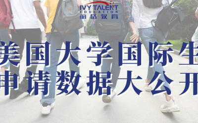 国际生申请数据