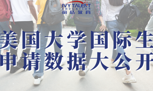 国际生申请数据