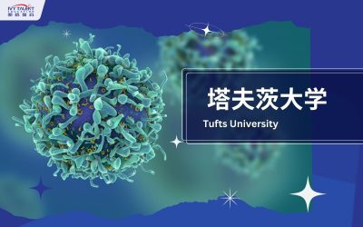 Ivy-Talent-Student-Lily-2024-tufts-university-thumbnail