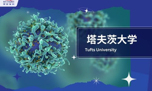 Ivy-Talent-Student-Lily-2024-tufts-university-thumbnail