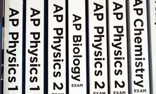 AdobeStock_255537292