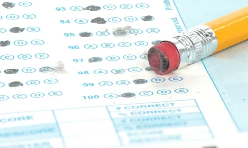 托福 雅思 标化 语言成绩 test optional