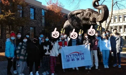 Ivy-talent-event-2025-thanksgiving-camp-3