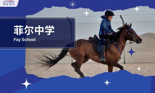 Ivy-talent-student-daniel-2022-fay-school-thumbnail