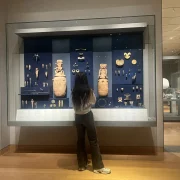 ivy-talent-student-sophia-2026-nyu-1 纽约大学