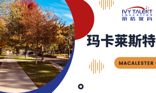 玛卡莱斯特学院
